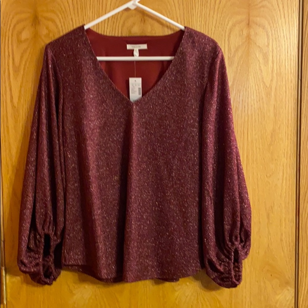 Balloon Sleeve top